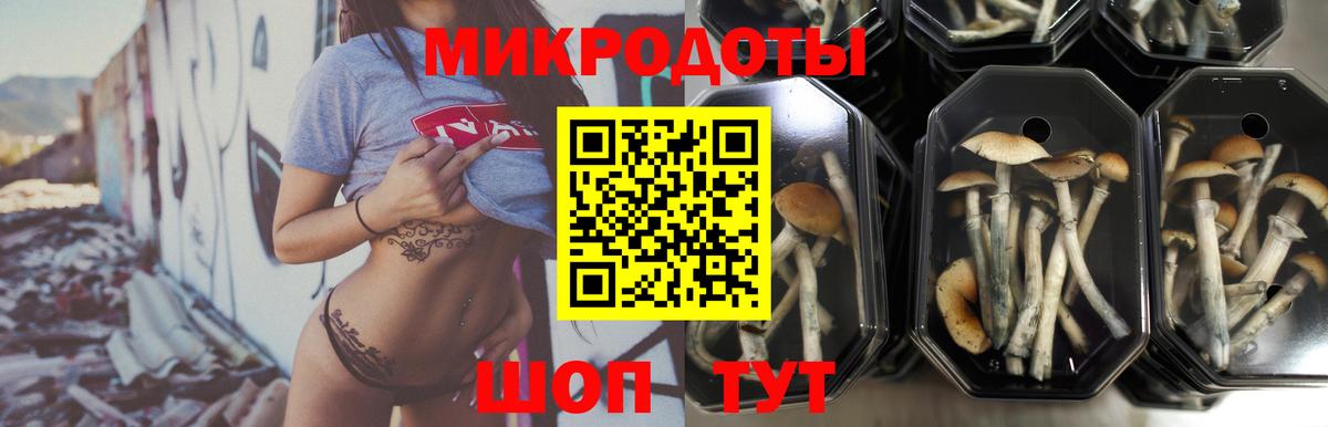 Галлюциногенные грибы GOLDEN TEACHER Новодвинск